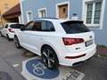 Audi SQ5 TDI quattro tiptronic Weiß - thumbnail 5