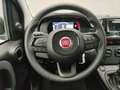 Fiat Panda 1.0 65CV HYBRID Grau - thumbnail 12