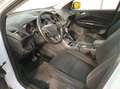 Ford Kuga 2.0 tdci Business 120cv Automatica Bianco - thumbnail 12