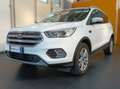Ford Kuga 2.0 tdci Business 120cv Automatica Bianco - thumbnail 1