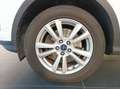 Ford Kuga 2.0 tdci Business 120cv Automatica Bianco - thumbnail 8
