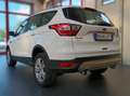 Ford Kuga 2.0 tdci Business 120cv Automatica Bianco - thumbnail 6