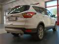 Ford Kuga 2.0 tdci Business 120cv Automatica Bianco - thumbnail 4