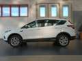 Ford Kuga 2.0 tdci Business 120cv Automatica Bianco - thumbnail 7