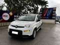 Fiat Panda Panda 1.0 Hybrid Street Van Blanc - thumbnail 10