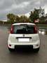 Fiat Panda Panda 1.0 Hybrid Street Van Blanc - thumbnail 7