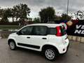 Fiat Panda Panda 1.0 Hybrid Street Van Blanc - thumbnail 3