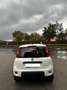 Fiat Panda Panda 1.0 Hybrid Street Van Blanc - thumbnail 13