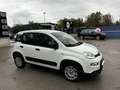 Fiat Panda Panda 1.0 Hybrid Street Van Blanc - thumbnail 12