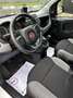 Fiat Panda Panda 1.0 Hybrid Street Van Blanc - thumbnail 17
