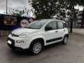 Fiat Panda Panda 1.0 Hybrid Street Van Blanc - thumbnail 4