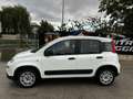 Fiat Panda Panda 1.0 Hybrid Street Van Blanc - thumbnail 8