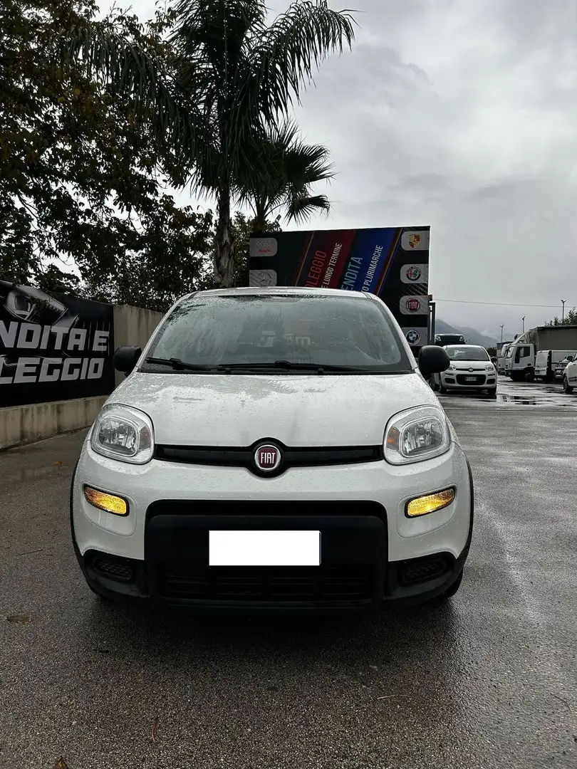 Fiat Panda Panda 1.0 Hybrid Street Van Blanc - 2