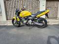 Honda Hornet Giallo - thumbnail 1