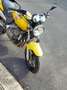 Honda Hornet Giallo - thumbnail 6