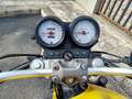 Honda Hornet Giallo - thumbnail 3