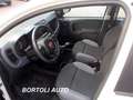 Fiat Panda 1.2 35.000 KM EASY IDONEA PER NEOPATENTATI Wit - thumbnail 6