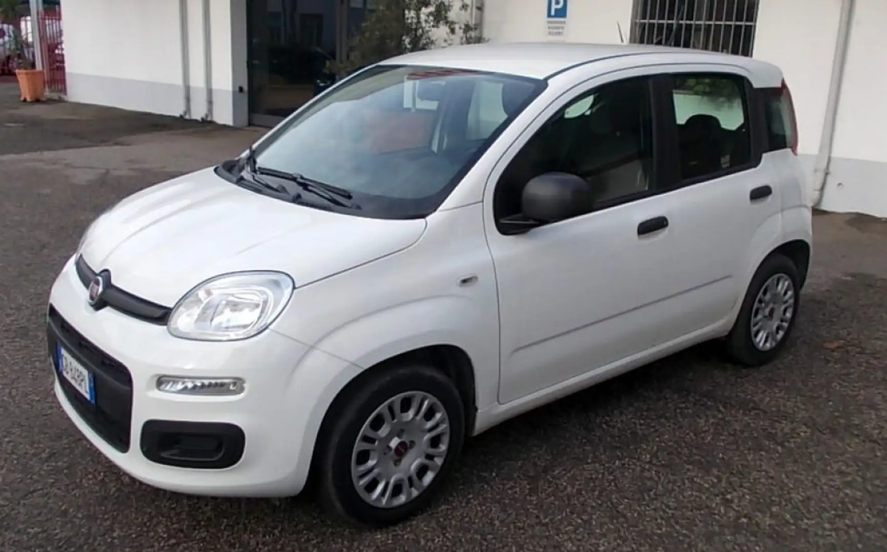 Fiat Panda 1.2 35.000 KM EASY IDONEA PER NEOPATENTATI Wit - 1