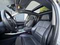 BMW X3 xDrive 20d Österreich-Paket Aut. | Vermittlungs... Grau - thumbnail 20