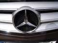 Mercedes-Benz Viano 3.0 CDI Ambiente Edition lang-Leder/Pano Bruin - thumbnail 22