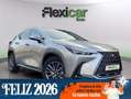 Lexus NX 300h 350h Business City 4WD Grau - thumbnail 1