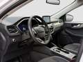 Ford Kuga 2.0D EcoBlue AWD Titanium X Aut. Assistenzpaket... Weiß - thumbnail 10
