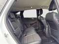 Ford Kuga 2.0D EcoBlue AWD Titanium X Aut. Assistenzpaket... Weiß - thumbnail 12