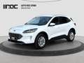 Ford Kuga 2.0D EcoBlue AWD Titanium X Aut. Assistenzpaket... Weiß - thumbnail 1