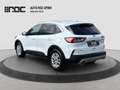 Ford Kuga 2.0D EcoBlue AWD Titanium X Aut. Assistenzpaket... Weiß - thumbnail 3