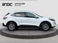Ford Kuga 2.0D EcoBlue AWD Titanium X Aut. Assistenzpaket... Weiß - thumbnail 6