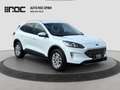 Ford Kuga 2.0D EcoBlue AWD Titanium X Aut. Assistenzpaket... Weiß - thumbnail 7