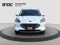 Ford Kuga 2.0D EcoBlue AWD Titanium X Aut. Assistenzpaket... Weiß - thumbnail 8