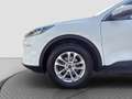 Ford Kuga 2.0D EcoBlue AWD Titanium X Aut. Assistenzpaket... Weiß - thumbnail 19