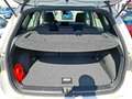 SEAT Arona X-Perience 1.0 TSI Navi RearView PDC LED AUT LED N Weiß - thumbnail 6