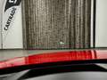 Audi RS4 Avant 2,9 TFSI quattro tiptronic / MATRIX-LED/ ... Kırmızı - thumbnail 11