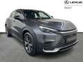 Lexus LBX Elegant Gris - thumbnail 18