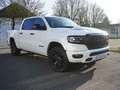 Dodge RAM Limited Night|LPG|RamBox|Tailgate|KW|Mopar| Weiß - thumbnail 2