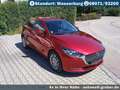 Mazda 2 KIZOKU +TOURING-P +ACAA +Kamera +Winterreifen Rouge - thumbnail 7