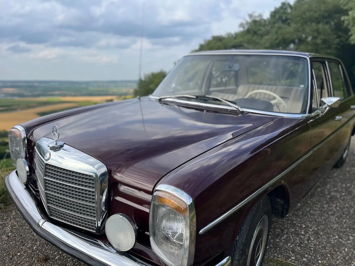 Mercedes-Benz W 114/115 Strich-Acht 200 D/8 Red - 1