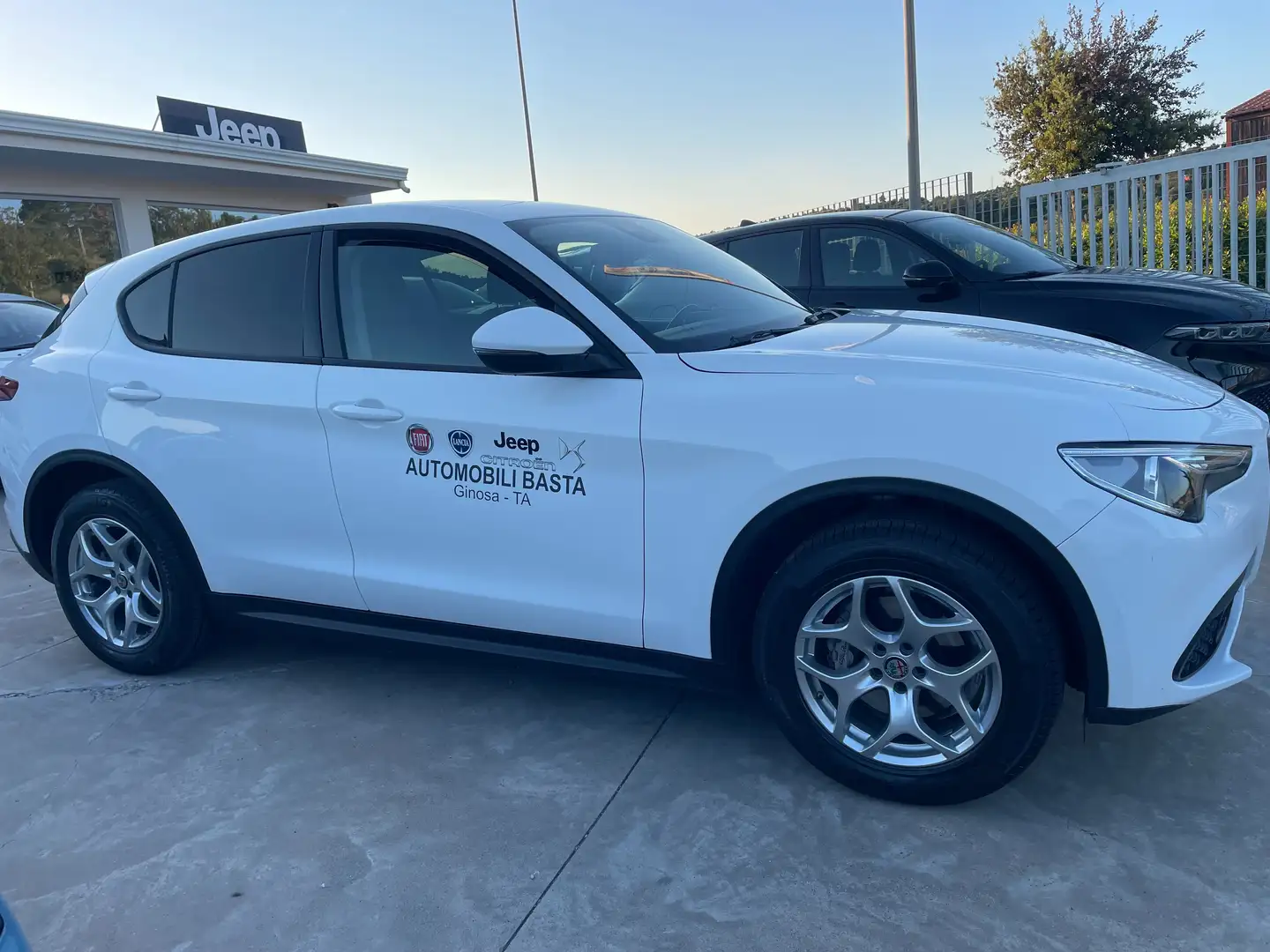 Alfa Romeo Stelvio Stelvio 2.2 t Sport Tech Q4 190cv auto Bianco - 2