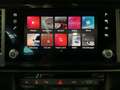 CUPRA Ateca DSG+4Drive+Pano+BlackPack Rouge - thumbnail 20