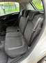 Fiat Punto Evo Punto Evo 1.2 8V 5P*Cerchi*Aux*Usb*Euro 6 Argento - thumbnail 11