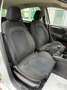 Fiat Punto Evo Punto Evo 1.2 8V 5P*Cerchi*Aux*Usb*Euro 6 Argento - thumbnail 14
