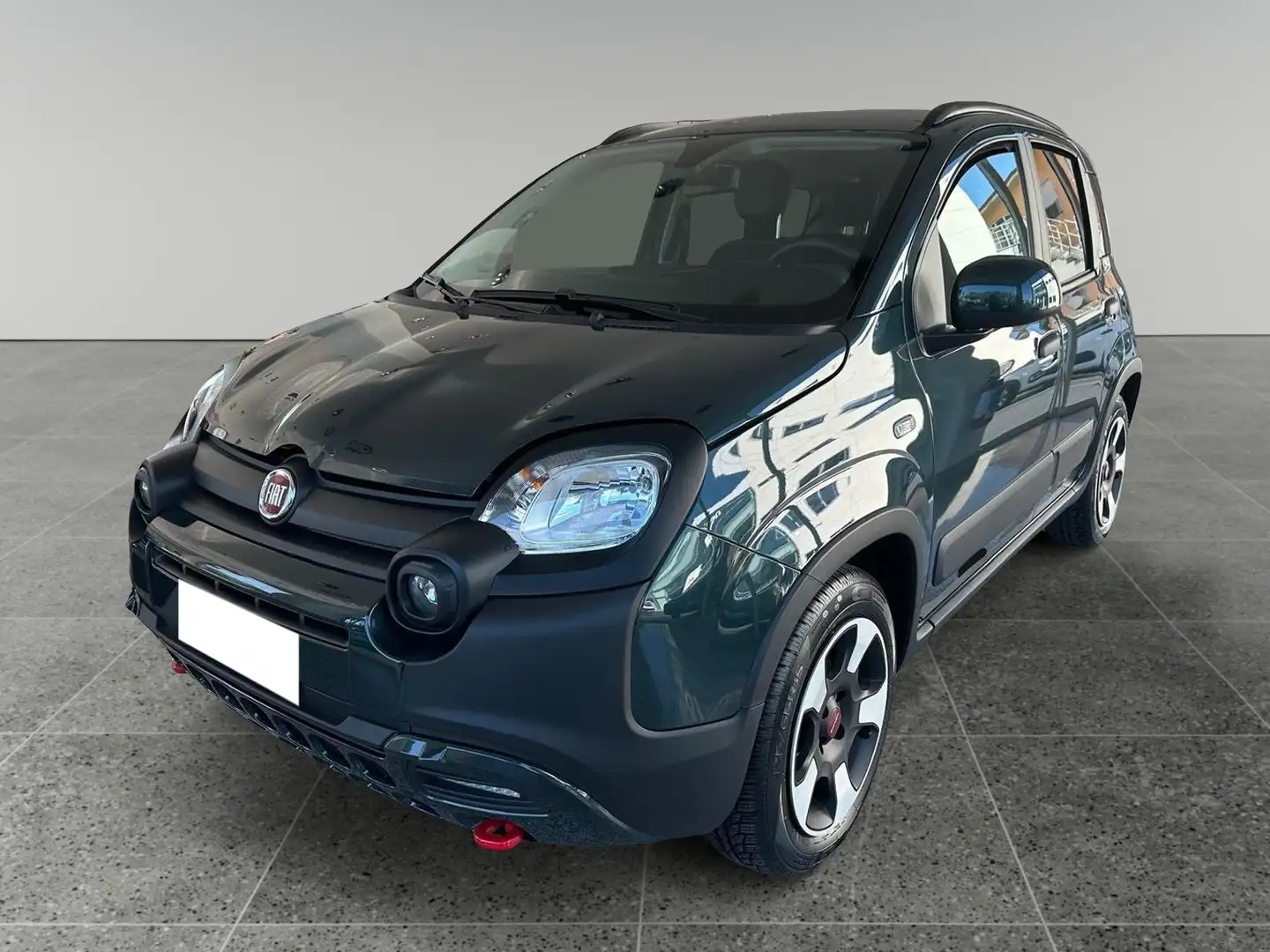Fiat Panda 1.0 FireFly S&S Hybrid Verde - 1