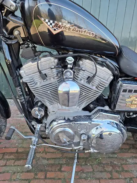 Harley-Davidson SPORTSTER 1200 - foto 5