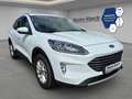 Ford Kuga PHEV Titanium X 2.5 Duratec EU6d AHK,abn. beh. Rüc Weiß - thumbnail 3