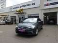 SEAT Ibiza 1,0 Xcellence Grau - thumbnail 1