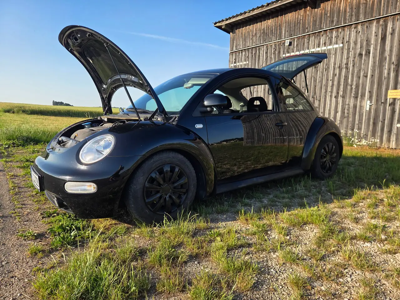Volkswagen New Beetle 2.0, foto 3