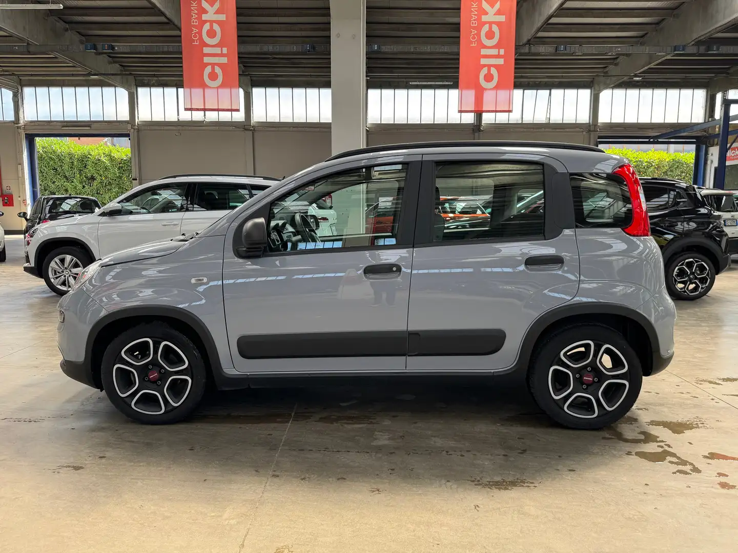 Fiat Panda Panda III 2021 1.0 firefly hybrid City Life s Grigio - 2