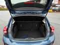 Ford Focus 1.5 EcoBlue 120 CV 5p. Active Blu/Azzurro - thumbnail 9